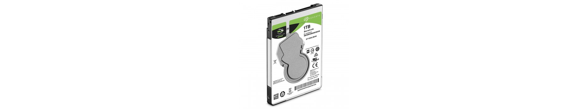 Hard Disk (Ổ cứng cơ)